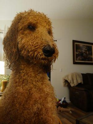 County Line Animal Hospital