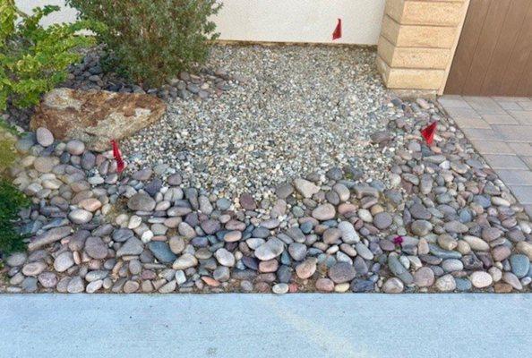 missing plants, empty holes in the front of my home