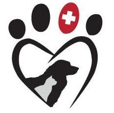 Springdale Animal Hospital