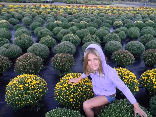 Going Green Plant Nursery