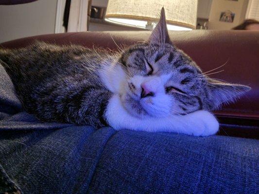 Thor in his new home! Thank you HES!!!