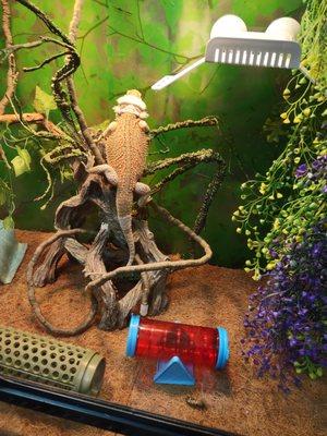 Aquarium & Shark Lab by Team ECCO