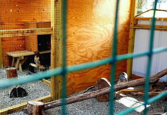 Ct Audubon Center At Glastonbury