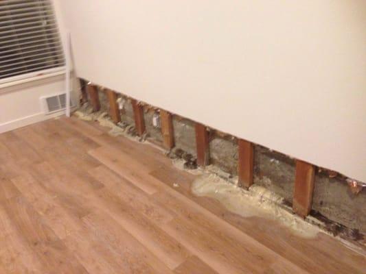 The Standard Bellevue