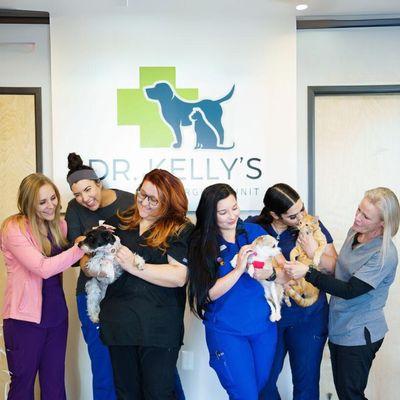 Dr Kellys Surgical unit