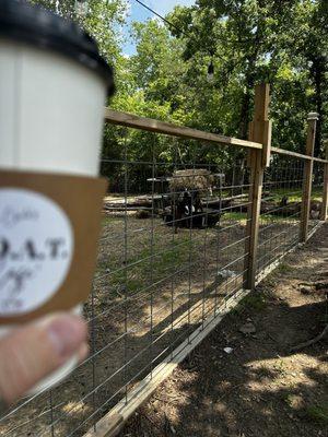 Copper Chick's Goat Cafe