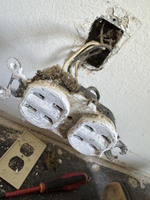 Central Coast Sparky Electric