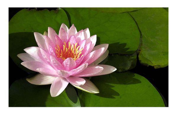 Drifting Mobile Massage