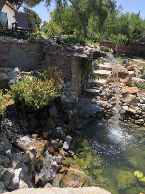 San Diego Pond & Dreamscapes