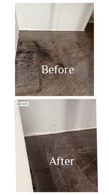 Aeriel’s Mer-Maids