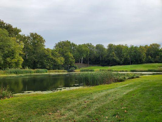 Gulph Mills Golf Club