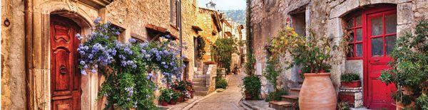 DSBelmont Travel Consultants