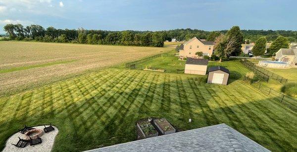 Was up on the roof and couldn't resist a picture of the yard! Thank you guys for always keeping the yard clean and fertilized!! We always re