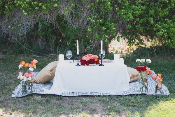 Meraki Luxury Picnics