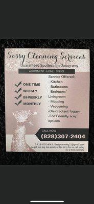 Sassy Cleaning Services