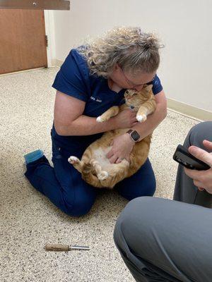 Northwind Animal Hospital