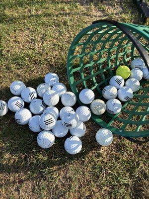 Wedgefield Plantation Golf Course