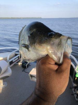 Captain Clark Fishing