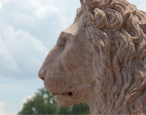 Preferred Home Management