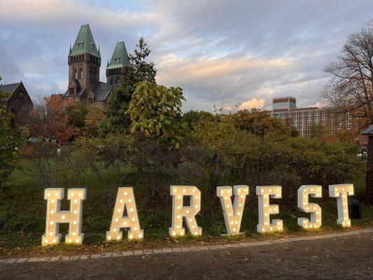 Buffalo Holiday Market
