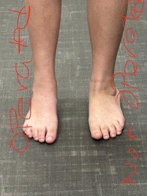MidJersey Orthopaedics