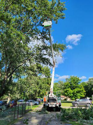 Great Lakes Tree Maintenance And Removal