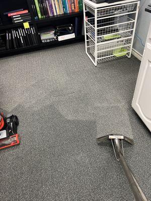 Red Carpet Treatment