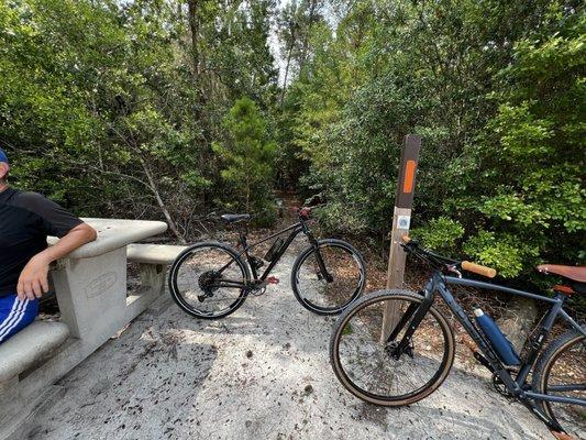 Etoniah Creek State Forest