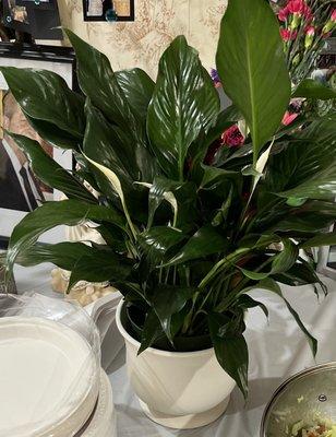 This is what was received