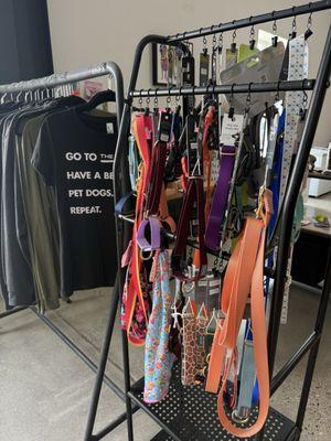 The Pack Indoor Dog Park