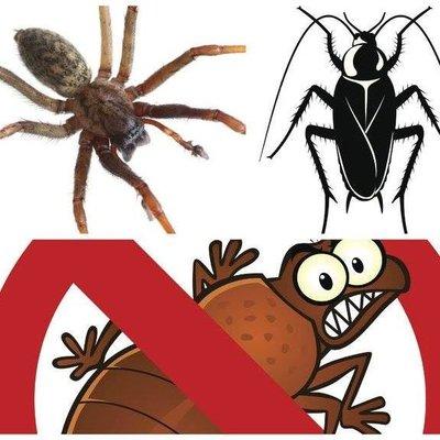 Wild West Pest Management