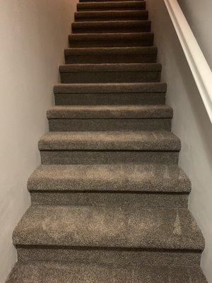 M & M Carpet Cleaning