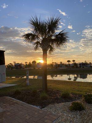 Just one of the many ponds at canopy Oaks