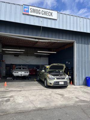 Have a great Saints Patrick's weekend
Cheers