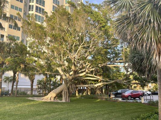 Park Shore Beach Park