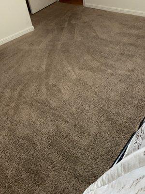 M&M Carpet Cleaning