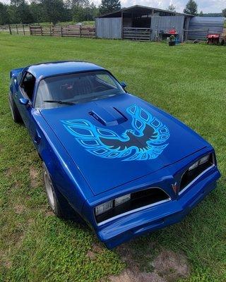 And only 2 hours later, my hood bird is exactly the way I wanted it!