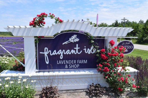 Lavender Fest 2017