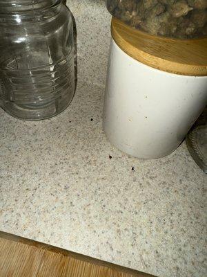 Ultris at Courthouse Square