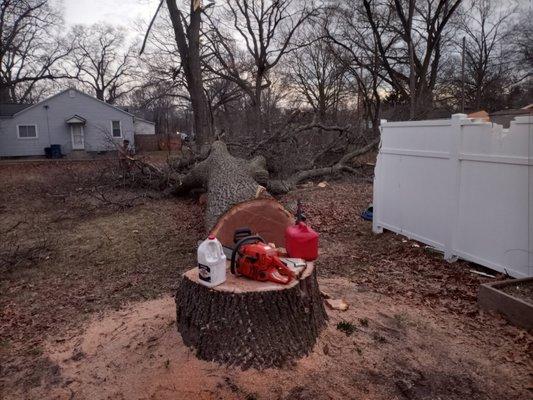 Ak J Lumberjackz Tree Professionals and Services