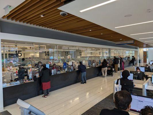 Counters. Bright, clean and shiny!!