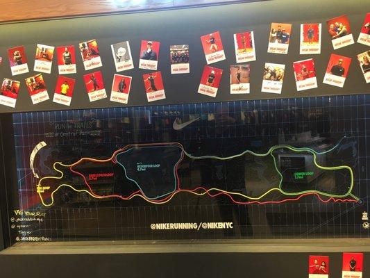 The "loop" in Central Park