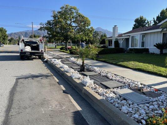 Daniel's Landscape & Tree Service