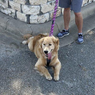 Lakeline Farmers Market