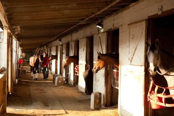 Flying G Racing Stable