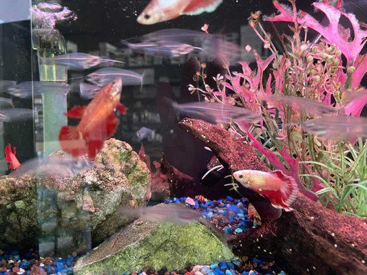 Aqualand Aquarium Center