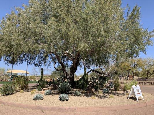 Pinnacle Presbyterian Church