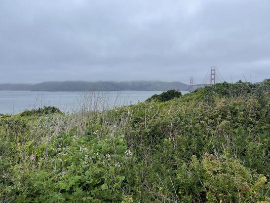View from atop the battery