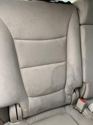 Rip’s Auto detailing