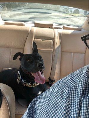 Mercy Animal Medical Center